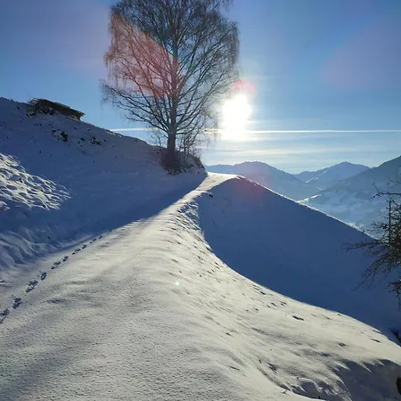 شقة Hinteregghof هارت إم زيلرتال